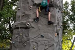 20190524_202751-498x1024