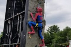 20190629_153719-498x1024