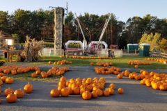 20191014_174516-1024x498